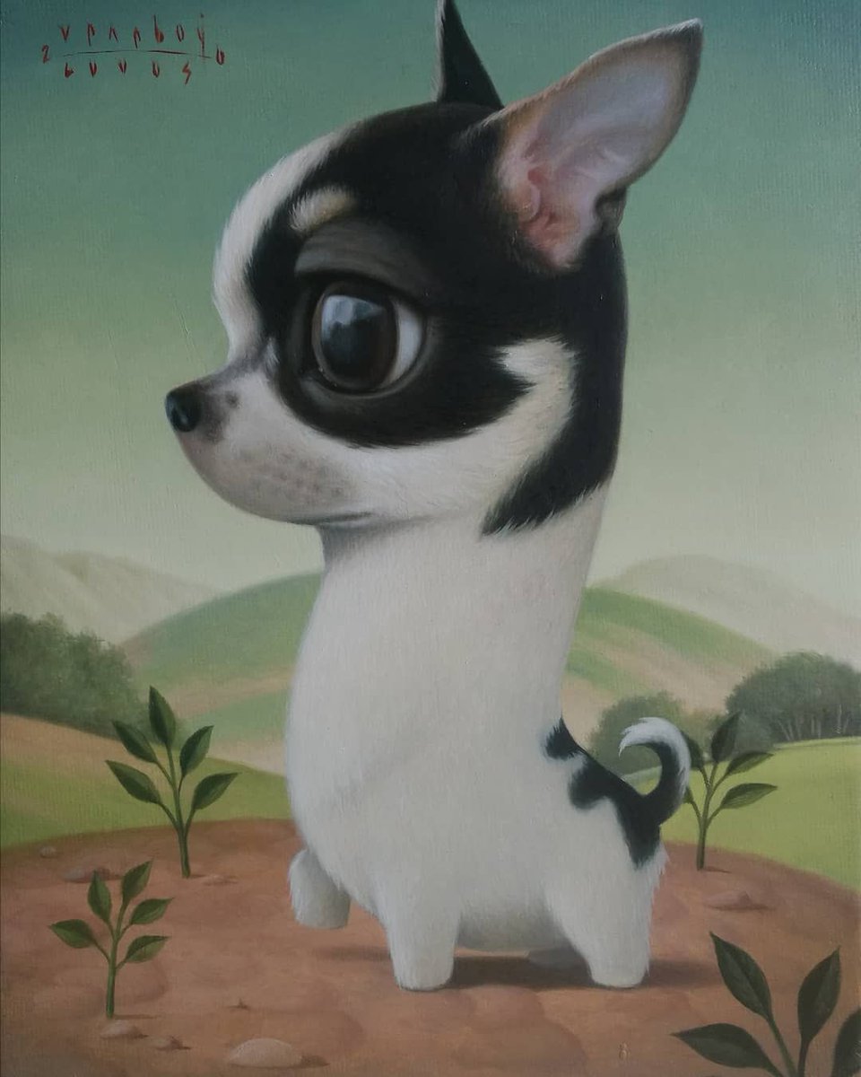 I can't handle the cuteness!! Chihuashuas pull my heartstrings in a big way. Love this piece called 'ROWLIE' by Rene Cuvos.

#beautifulbizarre #chihuahua #animalcharacter #dog #dogpainting renecuvos #lowbrow #popsurrealism #lowbrowpopsurrealism #painting #bigeyes #surrealism