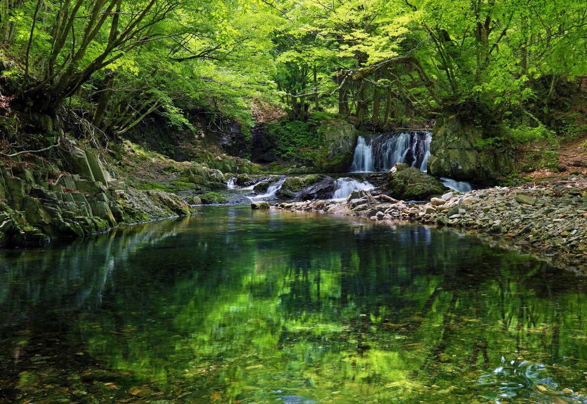 滝壺 滝壺