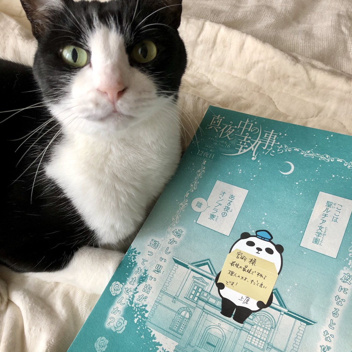 宮城理子 メイちゃんの執事dx ぼーっとしてたら忘れるとこだったニャ 本日は19日ニャがマーガレット誌の発売日ニャ 今回の担当ちゃんからのミッションは学園案内と理人剣人しか出てこない話ニャ 達成率は80 くらいかニャ 広報担当シャチ部長