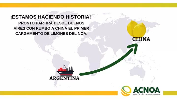 ¡ESTAMOS HACIENDO HISTORIA! Pronto partirá desde el puerto de Buenos Aires el primer cargamento de limones del NOA con destino a China. En 45 días aproximadamente estarán en las góndolas chinas los primeros limones argentinos, producidos en el NOA