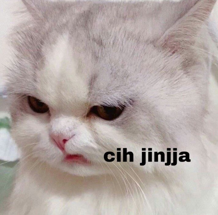 Anf در توییتر Anf Yang Punya Meme Kucing Bgi Dong
