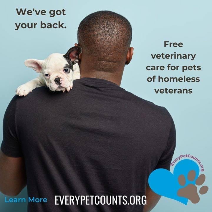 EveryPetCounts's tweet image. Pets play a crucial part in the quality of life, mental and physical wellbeing, recovery, and keeping society relevant to those most struggling to stay afloat.   bit.ly/2Ow48In 
#thursday  #keepcalm #Pets4vets  #vets #petsmatter #USO