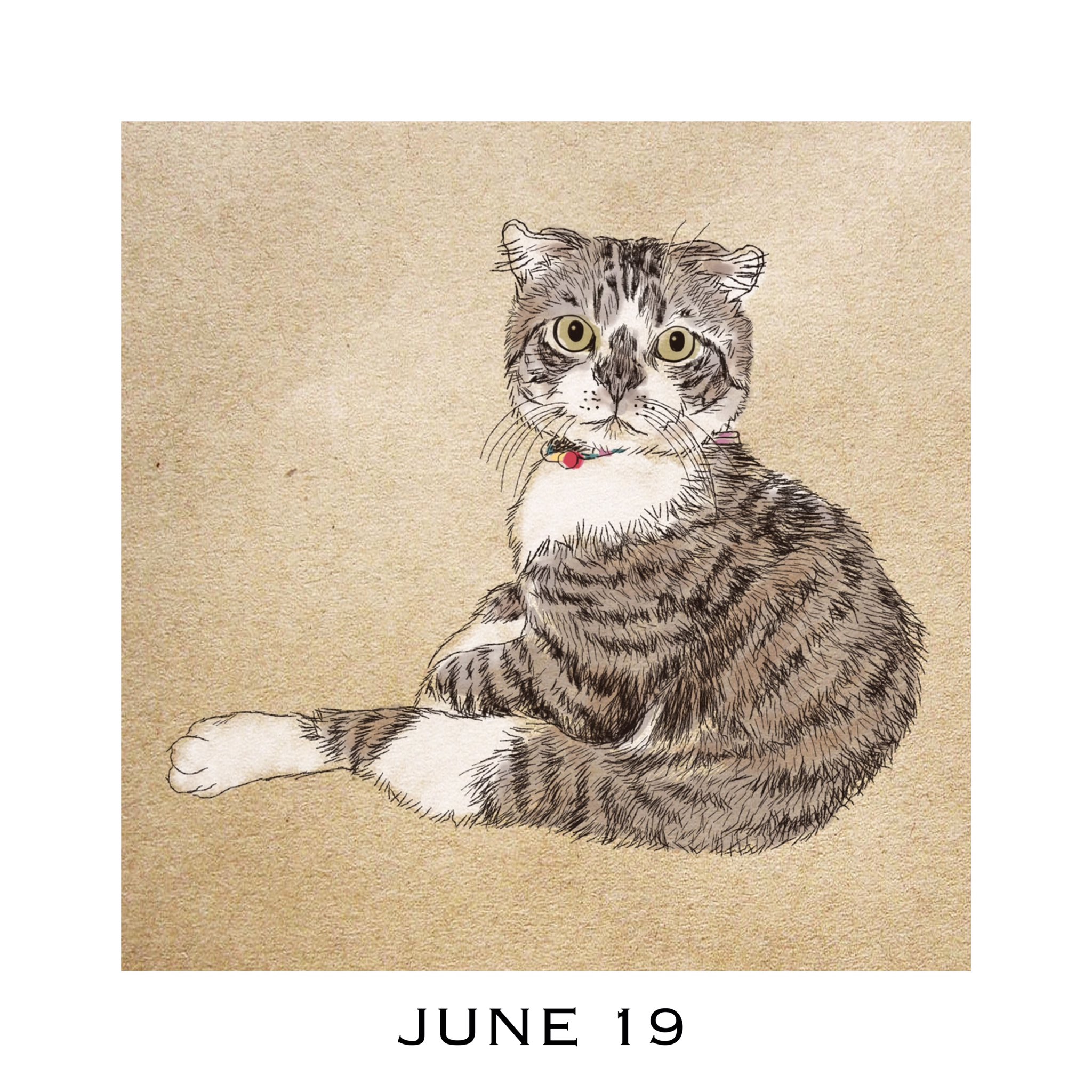 猫イラストレーター 365cat Art 6月19日 猫カレンダー 365catart 雨すごい 風邪ひかにゃいでね 1日1絵 猫似顔絵 猫の似顔絵 猫の絵 猫イラスト 猫のイラスト 猫好きさんと繋がりたい 猫イラストレーター おしゃれ猫イラスト 猫のかわいい