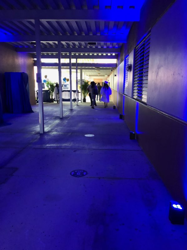 JC De Armas tweet media