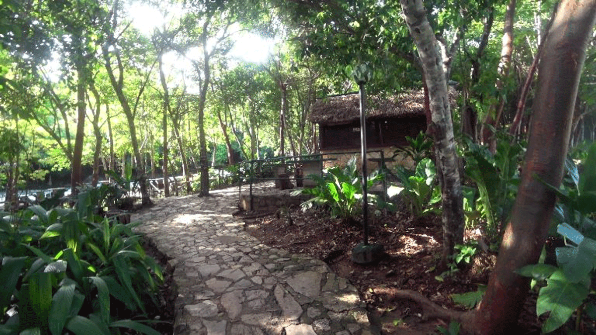 ClaveCuba (Clave_Cuba) Twitter