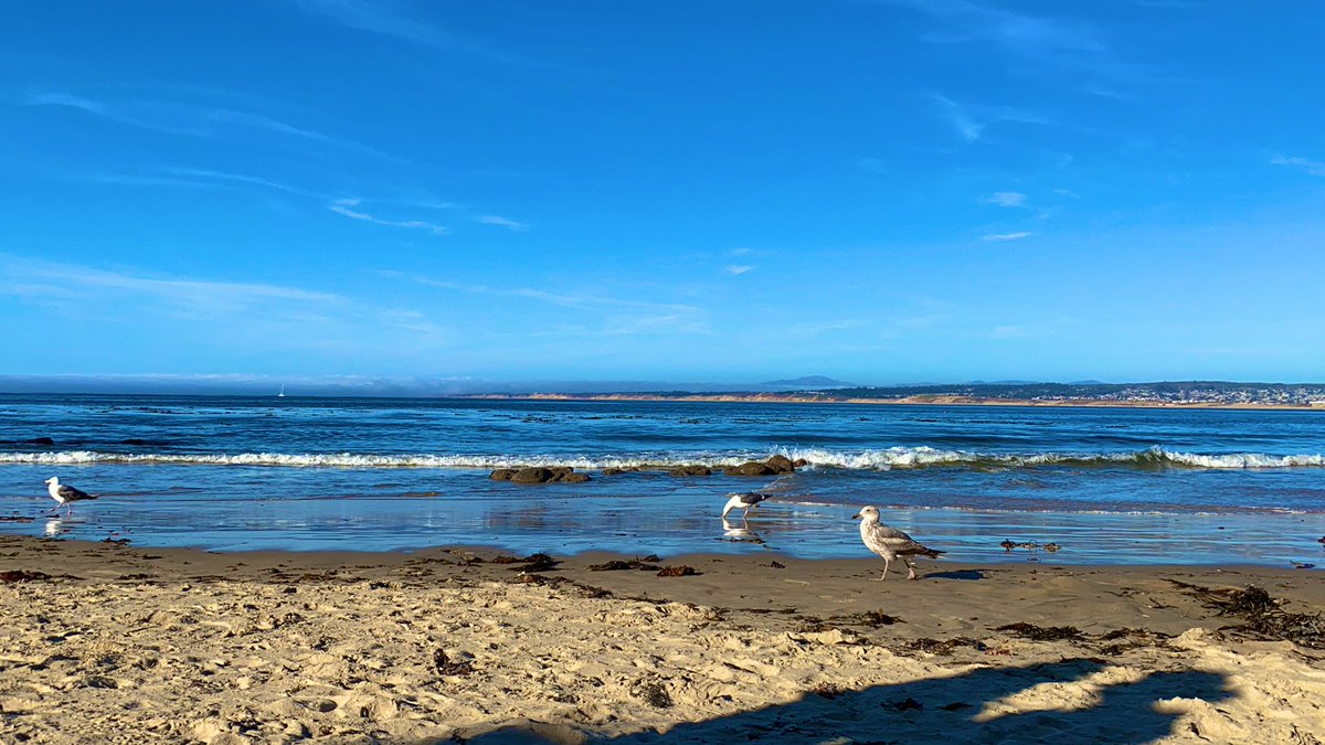 MayraFrancoTV's tweet image. Currently enjoying nature. #chasingviews