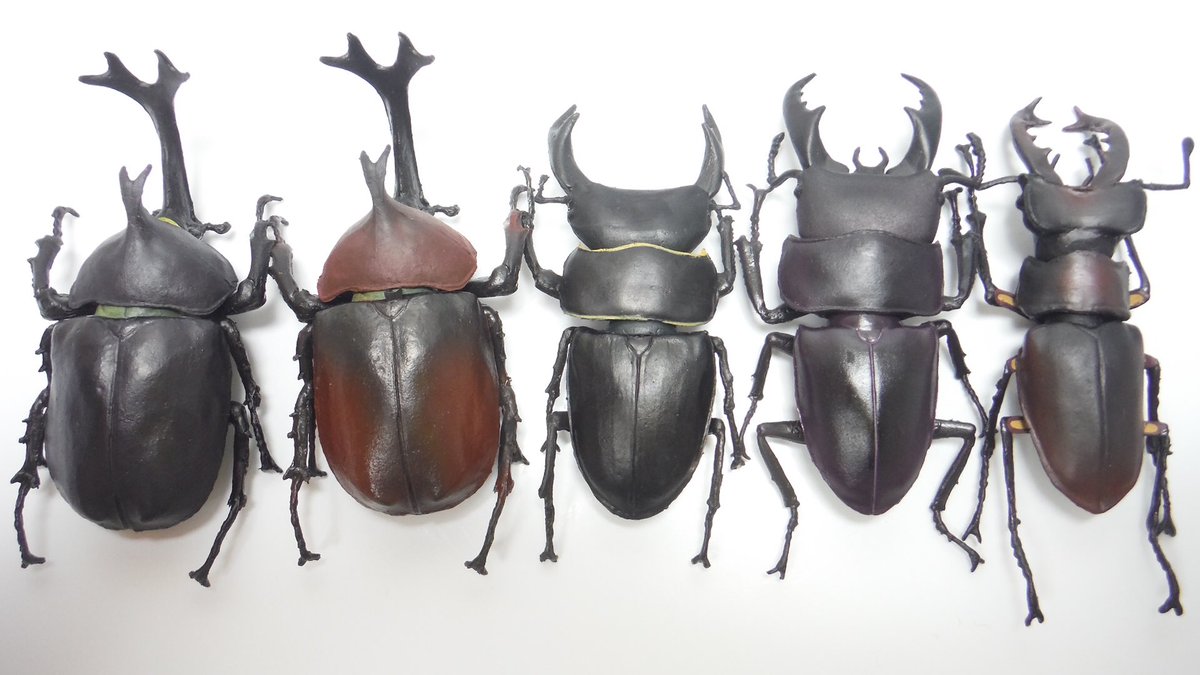 Pontv Ar Twitter 昆虫ハンター カブトムシ クワガタ がんばれ日本 の虫 全5種 開封 Beetle Vs Stag Beetle Super R T Co Vzvcopr0hd Youtubeより