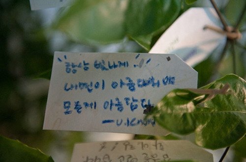 UknowFyuree's tweet image. Yunho message on a tree at GJB (Gwanju Biennale) 

~For shining always~ Inner beauty makes all ours beautiful - Uknow (Jung Yunho)

#정윤호 #유노윤호 #윤호 #yunho #yoonho #ゆの #ユノ #ユンホ #U_Know #동방신기 #TVXQ #東方神起
