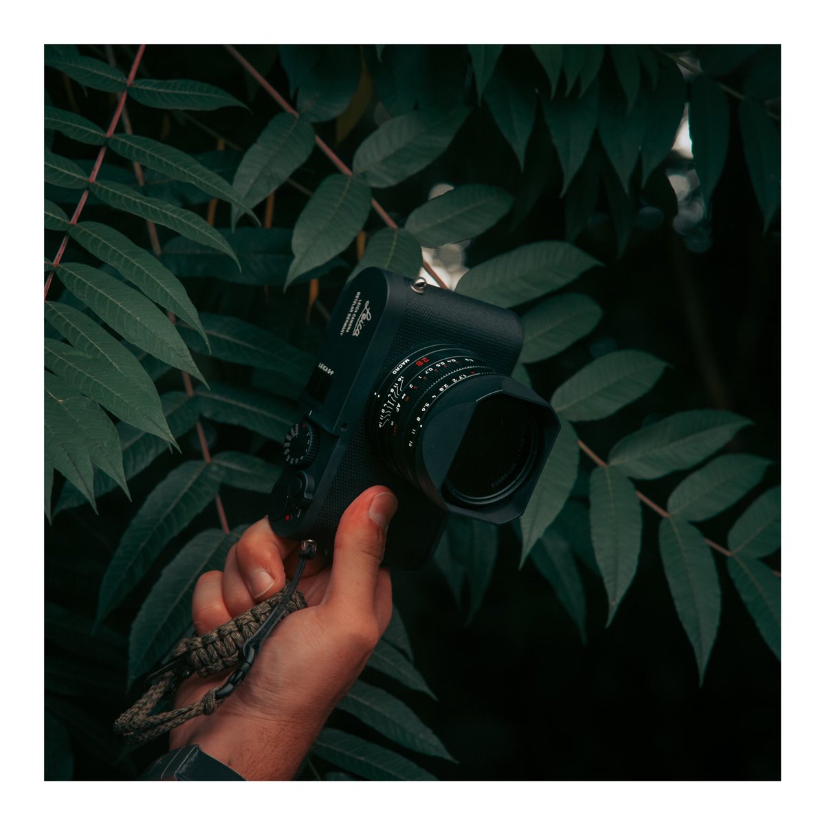 Evan Ranft tweet media