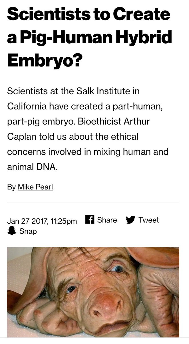 He sent out his metal beasts to capture wild beasts and crush them into a Pulp, and from that Pulp he created new creatures, resembling the human being. He earmarked these creatures as slaves, entertainers and workers.