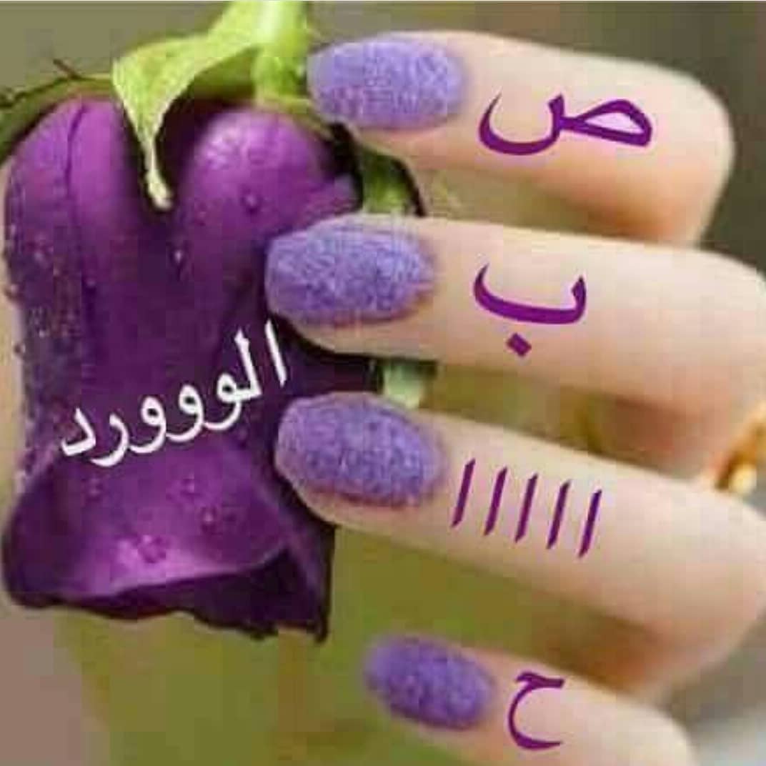 🦋يّےـٱٱٱقَےـوِتُےـ🦋 (@jmnnu8odeomcsjg) on Twitter photo 