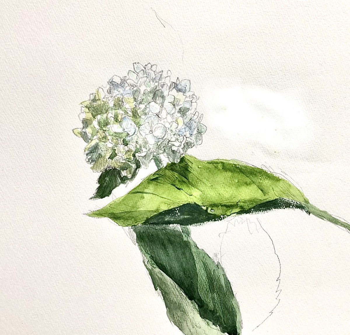 紫陽花の絵 Twitter Search 紫陽花の絵 Twitter Search