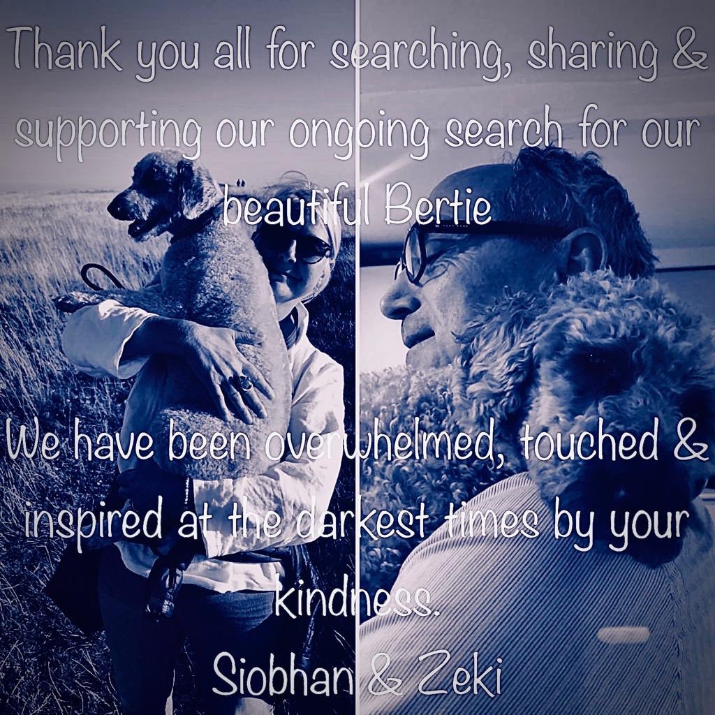 bertie_is's tweet image. Bertie having a snooze in our garden before he went missing ❤️
If he is holed up somewhere living rough, he is likely to be much thinner and very scruffy
He will be in survival mode
Please PLEASE 📞 us with any information. We just want to know 🙏🙏 #FindBertie