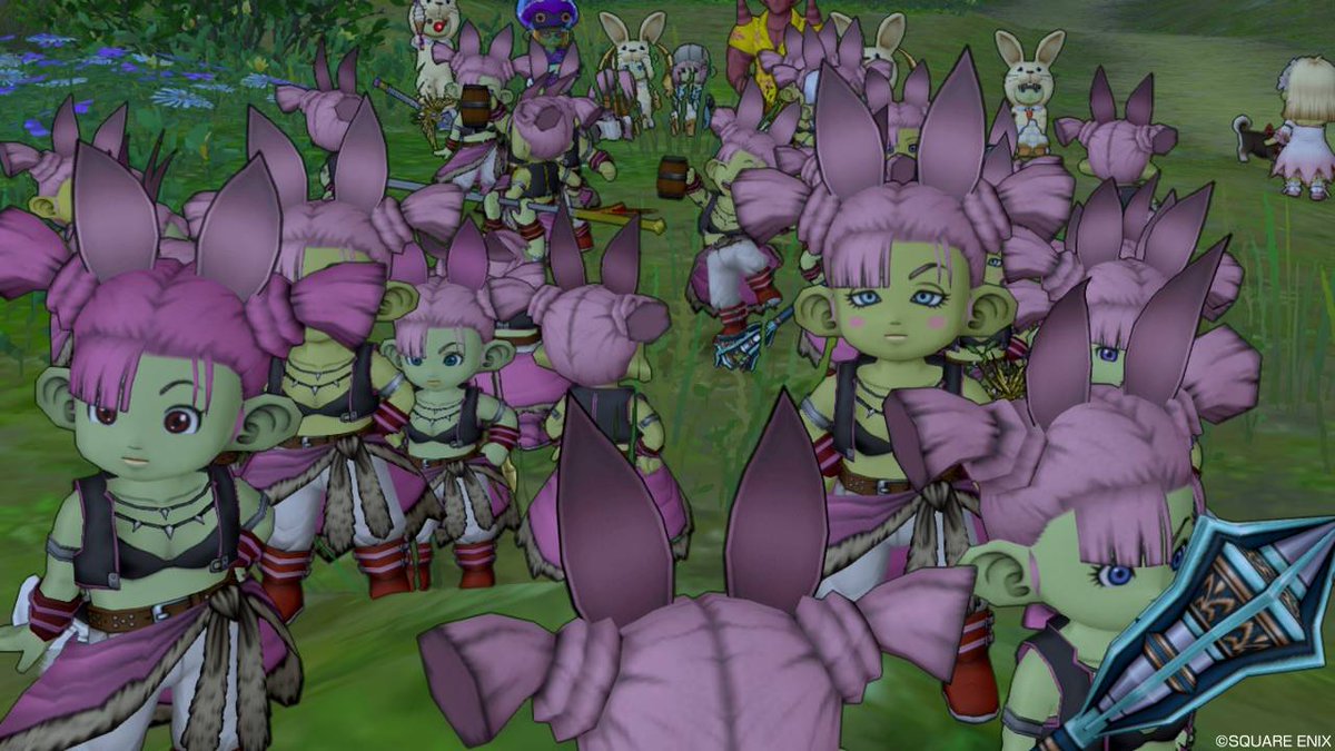 リズ Dwk 48 ゆおんちゃんが誕生日らしいので 一昨年ゆおんちゃんを増やした時の写真を貼っておきます