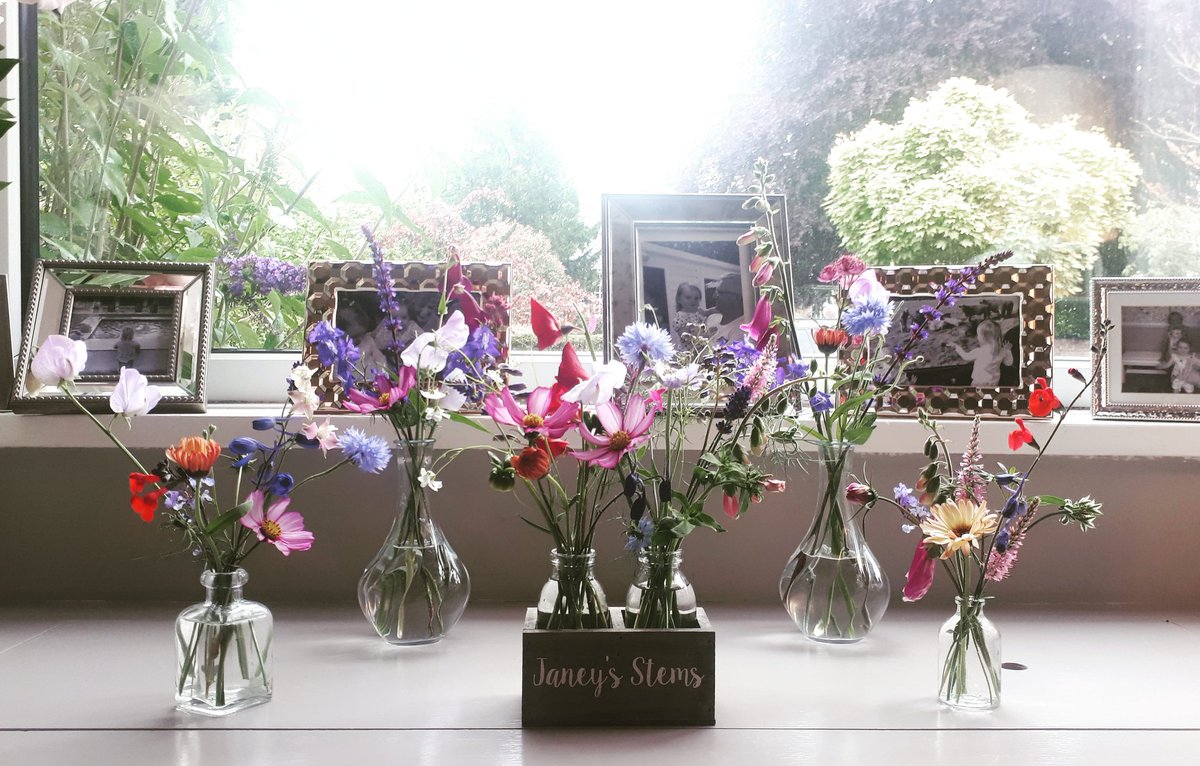 Jane Wilson tweet media