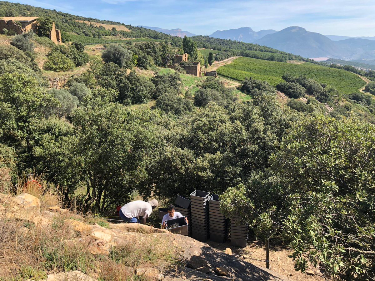 Y para terminar la semana... Un paisaje maravilloso donde nacen algunos de los vinos que después os traemos a Madrid ¡Que disfrutéis el fin de semana! #lovewine #restaurantesmadrid #madridfoodguide