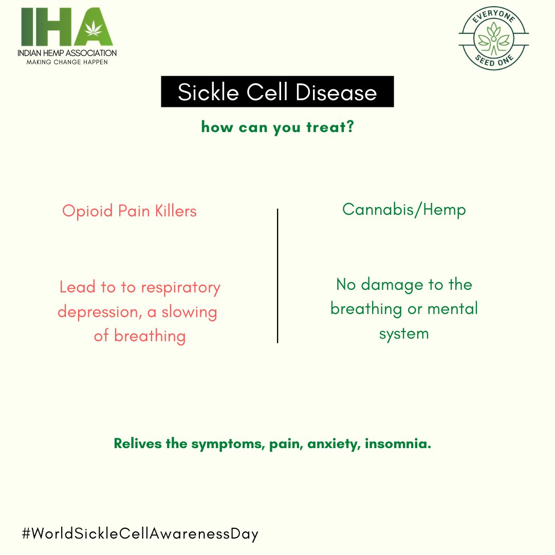 Researchers at #Yale Uni have discovered that 42% of #sicklecelldisease patients use #cannabis to deal with pain, anxiety, appetite, mood &amp; 79% took less pain medications after cannabis use. So #hemp/cannabis deserves a chance. #WorldSickleCellAwarenessDay
#IndianHempAssociation