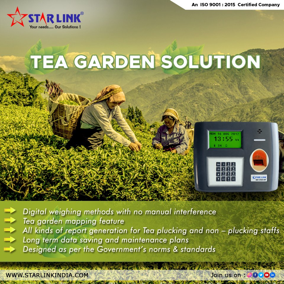 starlinkindia's tweet image. We always aim to understand what is complex and work on delivering genuineness.
Tea Garden Solution; a resourceful merger of #biometric_attendance_machine and software to administer the #tea_garden staff 
🎥: youtube.com/watch?v=r8JmjO… 
#TeaGardensolution #madeinindia
