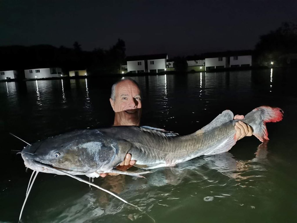 TopCatsThailand's tweet photo. Danny and is wife Sue are regulars here at TopCats . Danny comes for the fishing and Sue for the Yoga available here on #kohsamui .Sue does occassionally wet a line and on this evening they caught matching his and her #asianredtailcatfish .
This is one of the 37 species to go at https://t.co/rd1Q84XRPn
