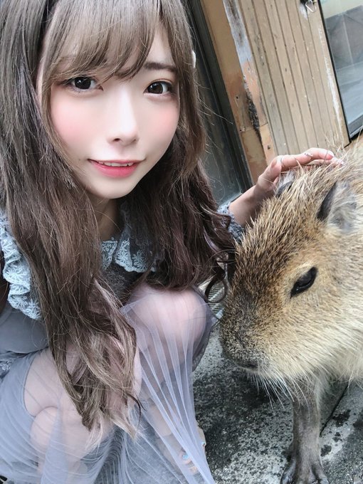 コスプレイヤー椿なぎさのTwitter画像15