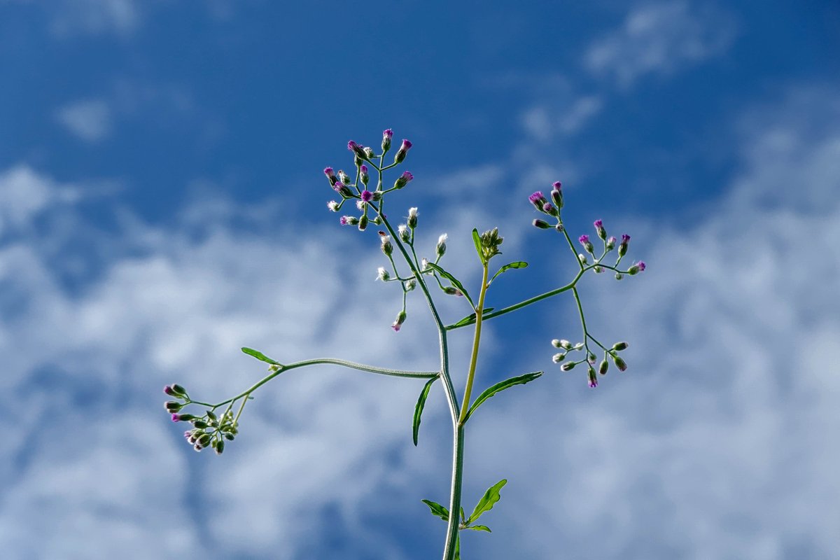 leehsienloong's tweet image. Phase 2 of our post-circuit breaker measures begin tdy. As Singapore cautiously re-opens, please stay vigilant &amp;amp; keep what we’ve learnt close to heart. If we all do our part, we can all be safe. – LHL #SGUnited go.gov.sg/3kt2m9
