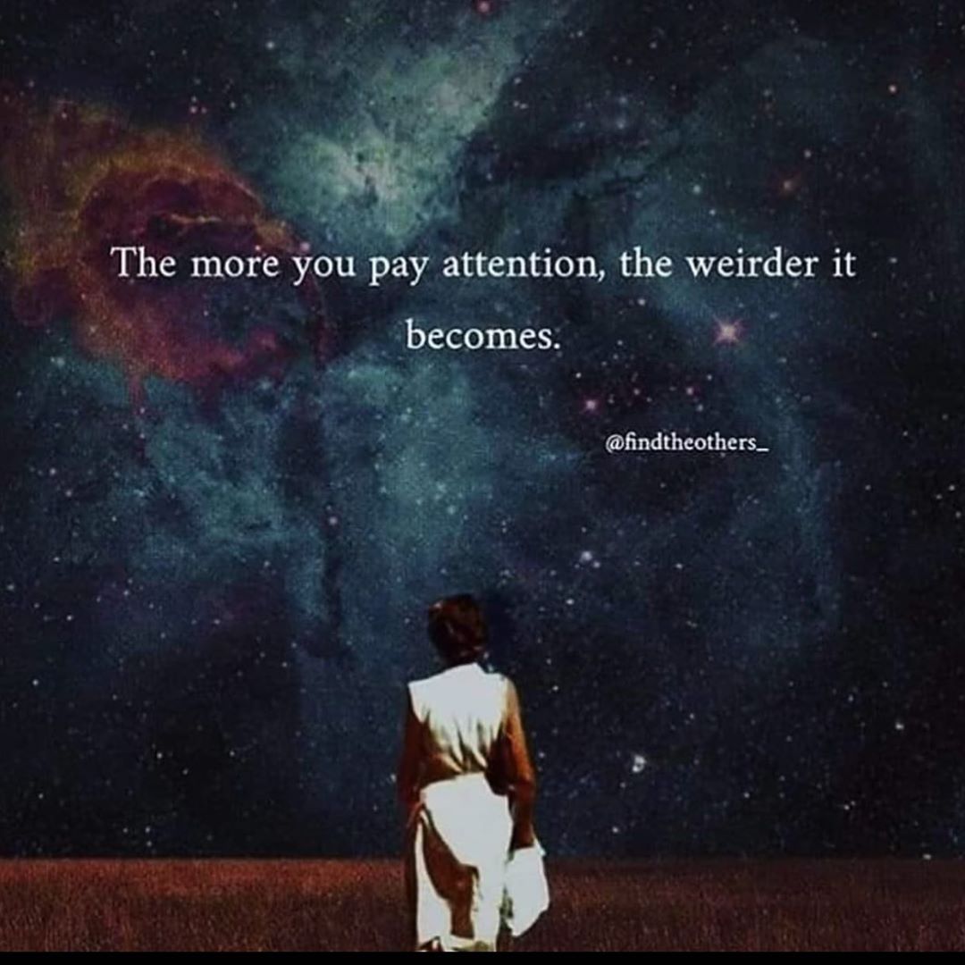 Immortalzen's tweet image. There is so much more. #SelfImprovement #NextLevelHuman