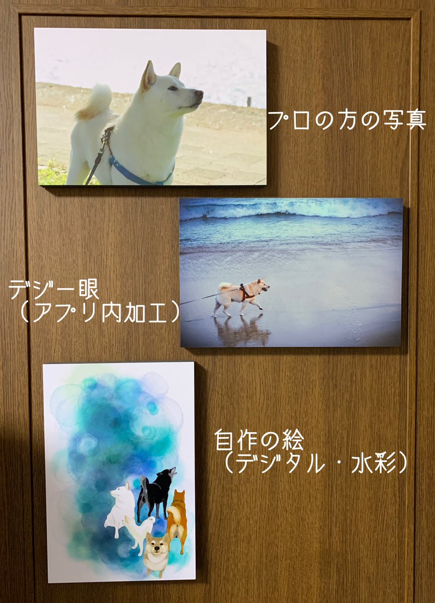 こじろうとこじおば。 tweet media