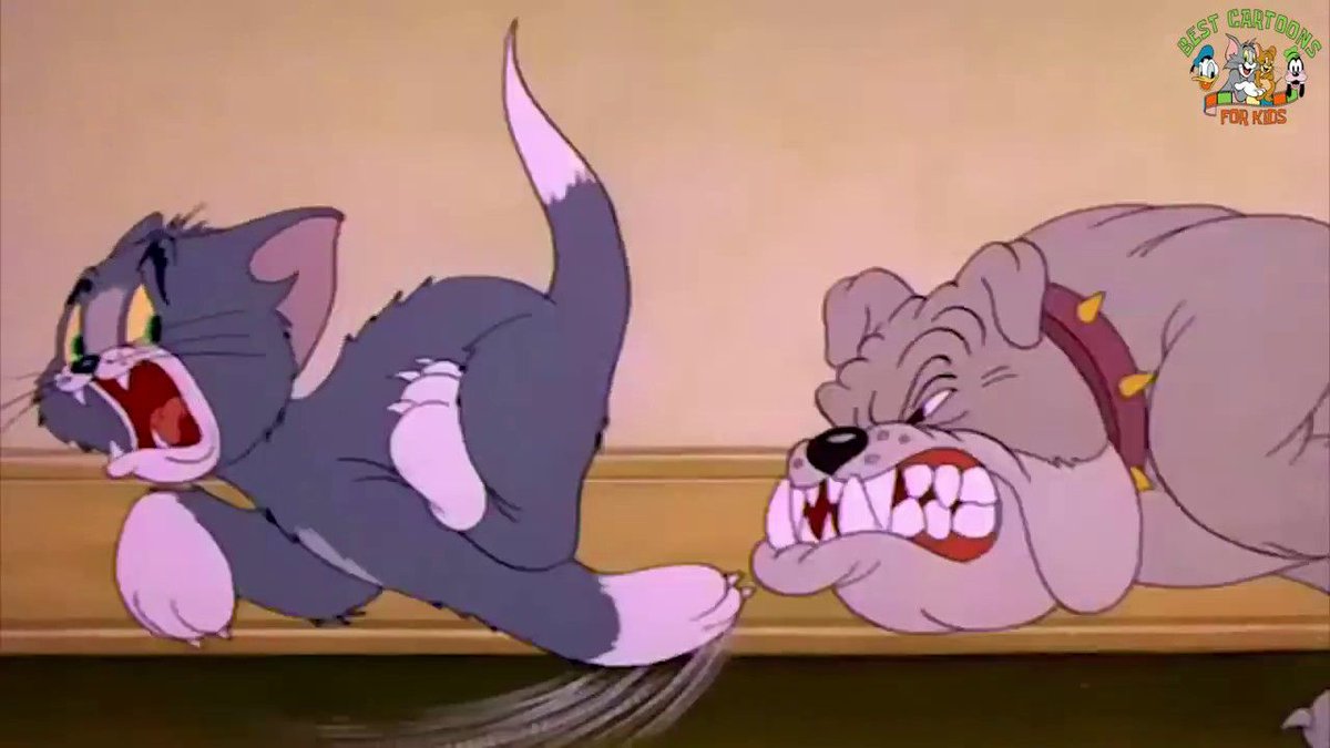Собака из тома и джерри. Пёс спайк из тома и джерри. Собака из тома и джерри. Бульдог спайк. Пес джерри.
