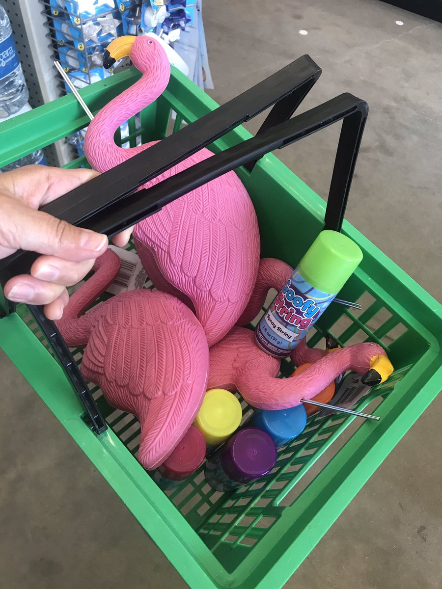 LeMeilleur4thgr's tweet photo. COVID-Ops are the new birthday norm when Social Birthday Distancing! Happy Birthday @ELA4thHernandez 
#theOneWithTheFlamingos #ACECubs #ACESummer #copyandpaste https://t.co/CxaOV4LJKV