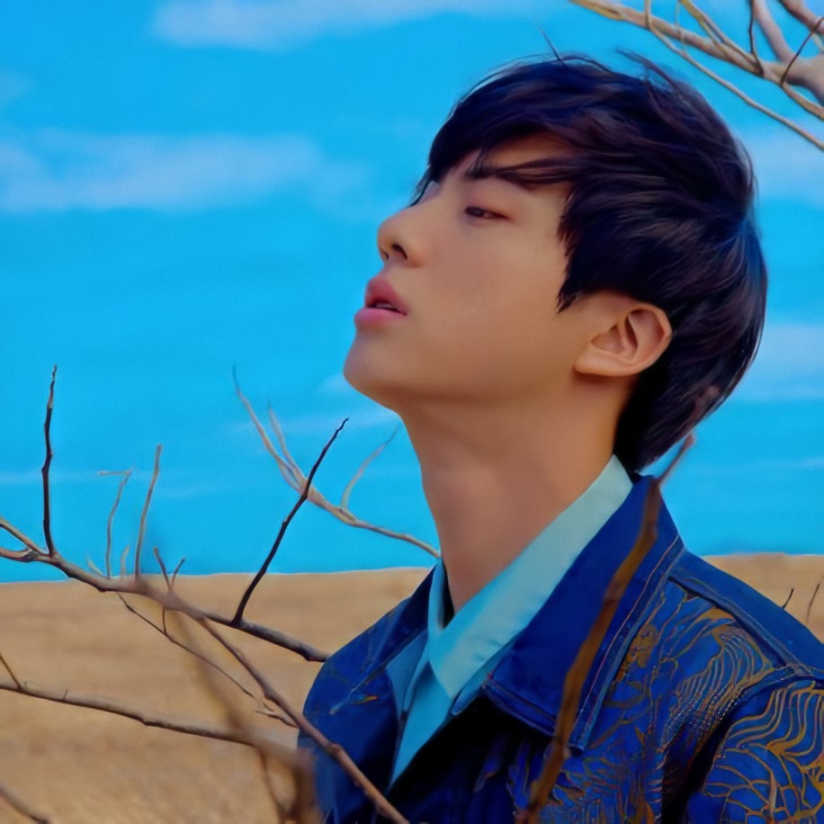 seokjindancer's tweet photo. 🦋 https://t.co/GXhwwT66vQ
