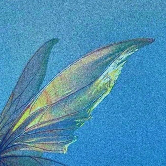 seokjindancer's tweet photo. 🦋 https://t.co/GXhwwT66vQ