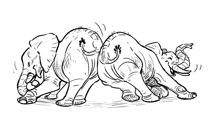 no idea how this place works but hello, have some happy elephants 