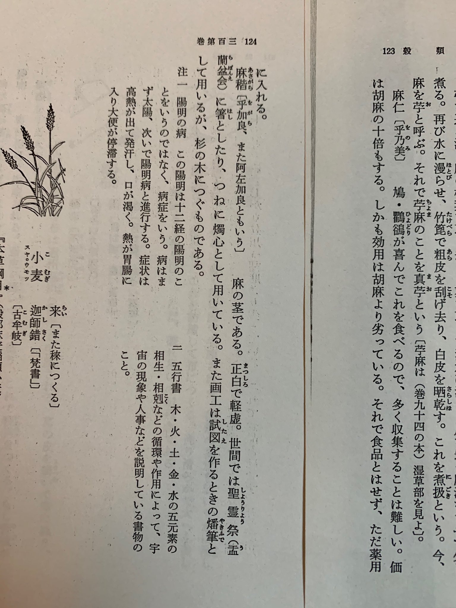 大麻博物館 / Taima -Cannabis Museum على X: 