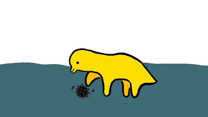 それはウニだよ。気をつけて。 
