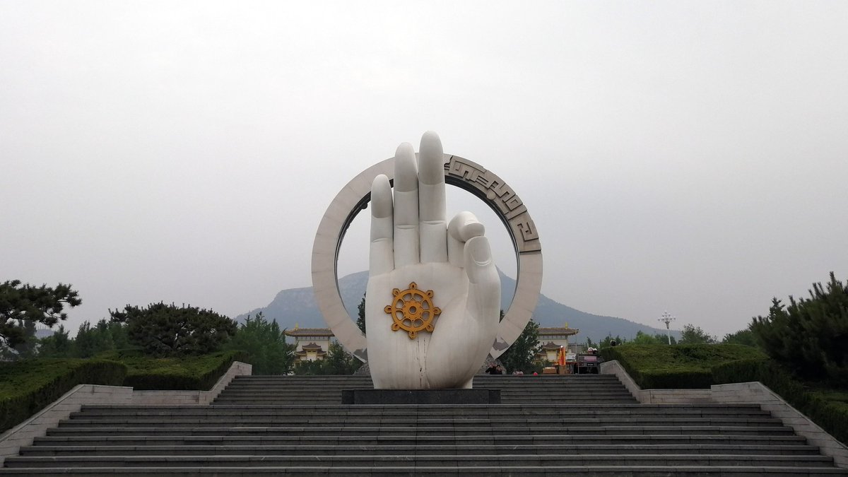 Yang Yu tweet media