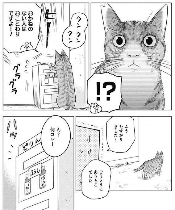 ウサギ目社畜科の5巻に登場したまるで実物を目の前にして描いたようなリアル.. 帽子屋 さんのマンガ ツイコミ(仮)