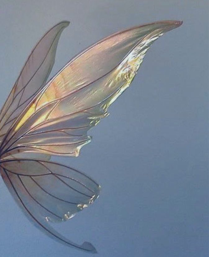 นางฟ้าตัวน้อยๆของแม่