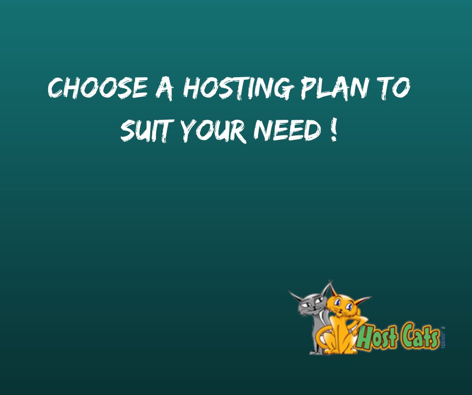 Hostcats's tweet photo. Choose a hosting plan to suit your need!
https://t.co/UzGrtjuru7 https://t.co/RBZFcasiXZ