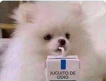 angelnhuman's tweet image. 