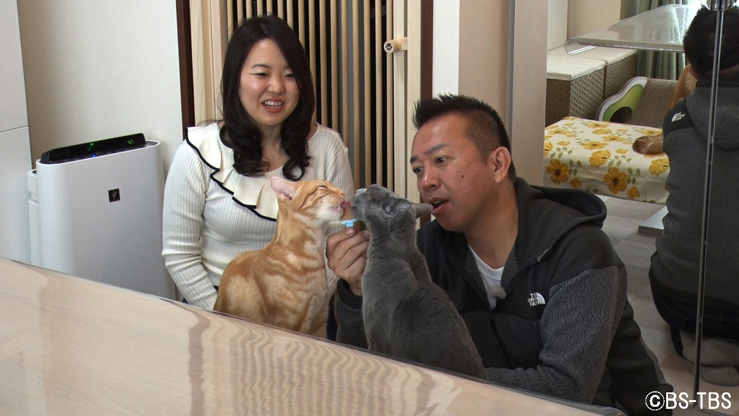 Bs Tbs 明日6 土 午後1時30分 ねこ自慢 Nekojimanbs6ch 今回は 母子手帳ならぬ オリジナル ニャンコ手帳 とは モデル猫として活躍中 堂々たるポージングを披露 全国を飛び回る 転勤族ニャンコ 引っ越しの工夫とは T Co