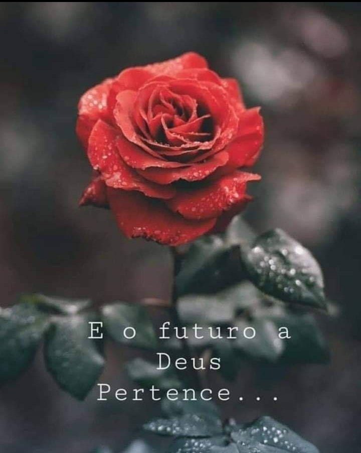 Rafael Carvalhoo (@msicacatlica) on Twitter photo 