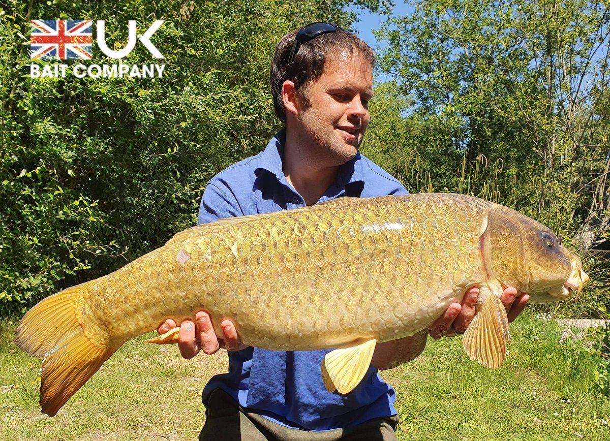 🔥THERES NO STOPPING THE SA-1🔥

Team member Simon Heron has continued his run of success with another great session. Taking 7 fish topped of by this stunner known as 'patch'. Simon used SA-1 wafters fished over a scattering of 14mm SA-1 freebies. 👌👍🎣 #UKBAITCOMPANY
 #SA1
