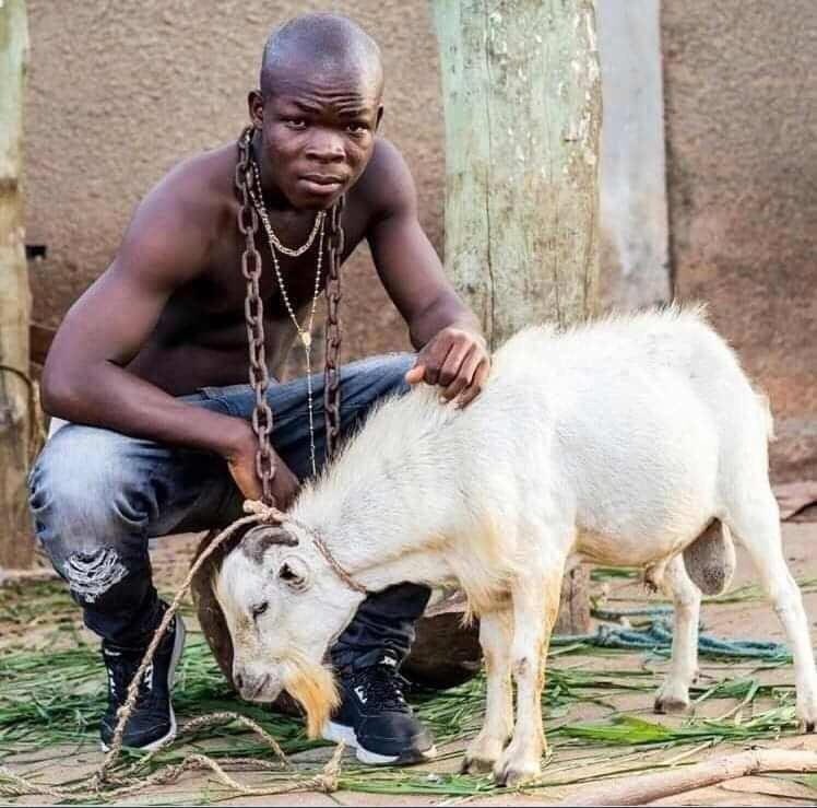 I heard the streets spittin' great debates all the time
Bout who's the best MC <a href="/ChogaVan/">Van Choga</a> or <a href="/ay_poyoo/">Ay Poyoo</a> 

<a href="/iMisred/">MISRED</a> <a href="/ProfJNMoyo/">Prof Jonathan Moyo</a> <a href="/dttheraprehab/">SEPTEMBER'S VERY OWN</a> <a href="/langfordmagaya/">Mutengesi Wembatya</a> <a href="/leemchoneyZim/">Lee Mchoney 💋💕</a> <a href="/3ChainzDrew/">Edmore Chikangaise</a> <a href="/SplitsLoui/">Taku Splits</a>
<a href="/winkydonline/">Winky D</a> we need your opinion here😂

#Zimbabwe #vanchoga
#Ghana #THEGOAT