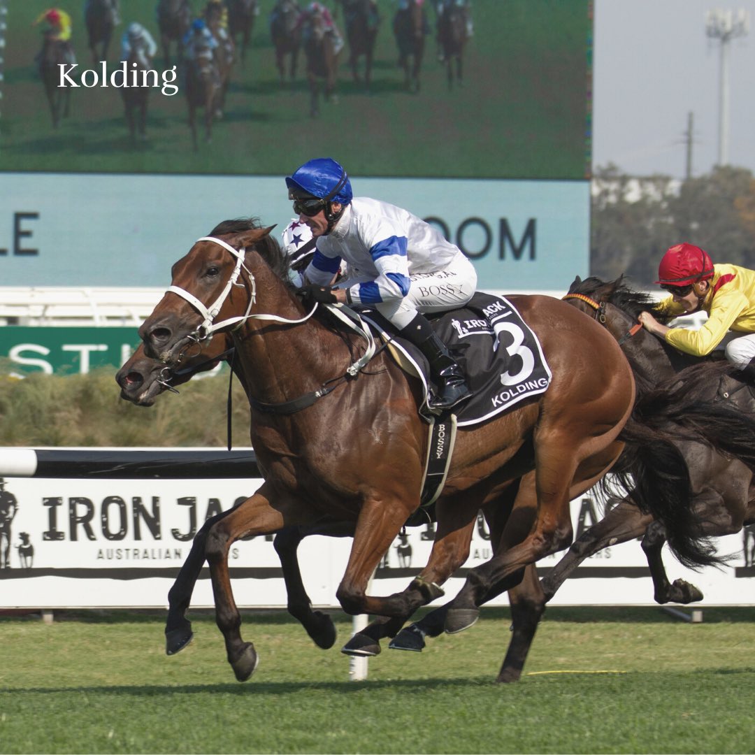 Waikato Stud tweet media