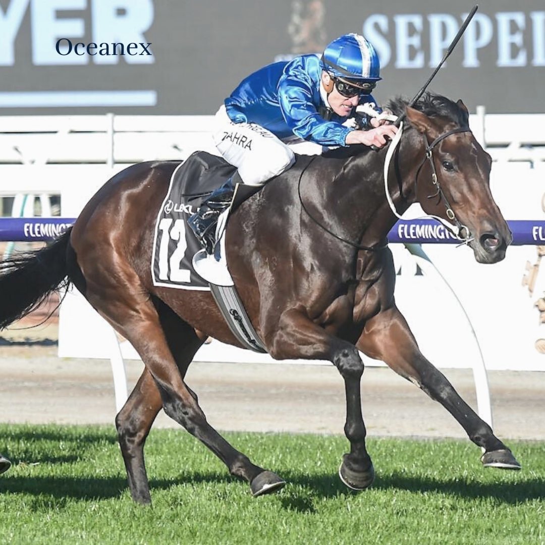 Waikato Stud tweet media