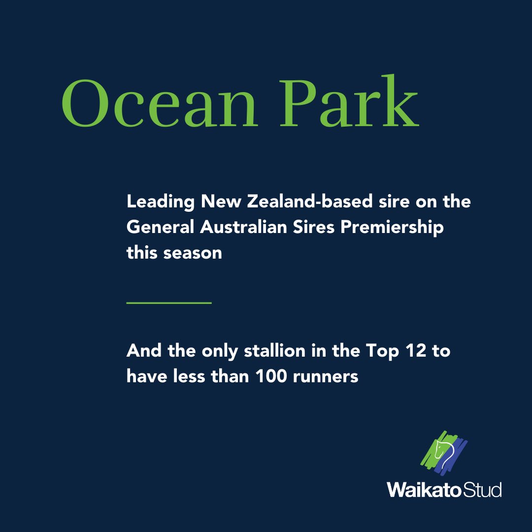 Waikato Stud tweet media