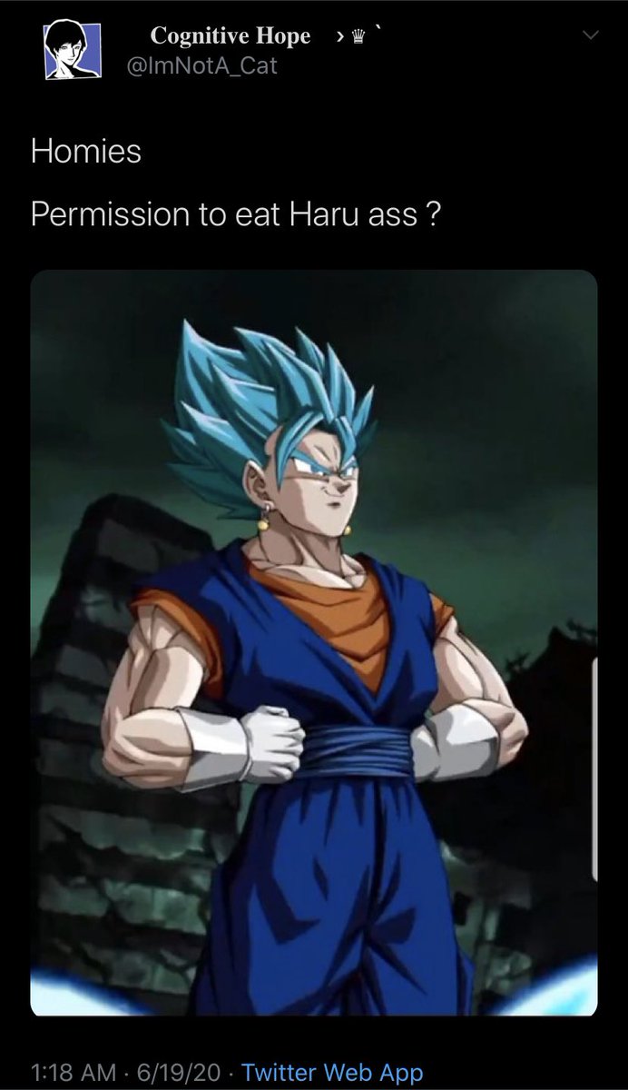 ooceli's tweet image. sorry.

but it must be done...