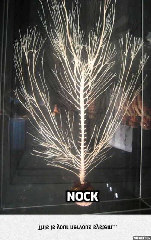 Urbit PHX tweet media