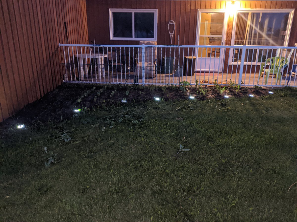 MirrorsRock's tweet photo. Meh garden https://t.co/V3m1rFRZnD