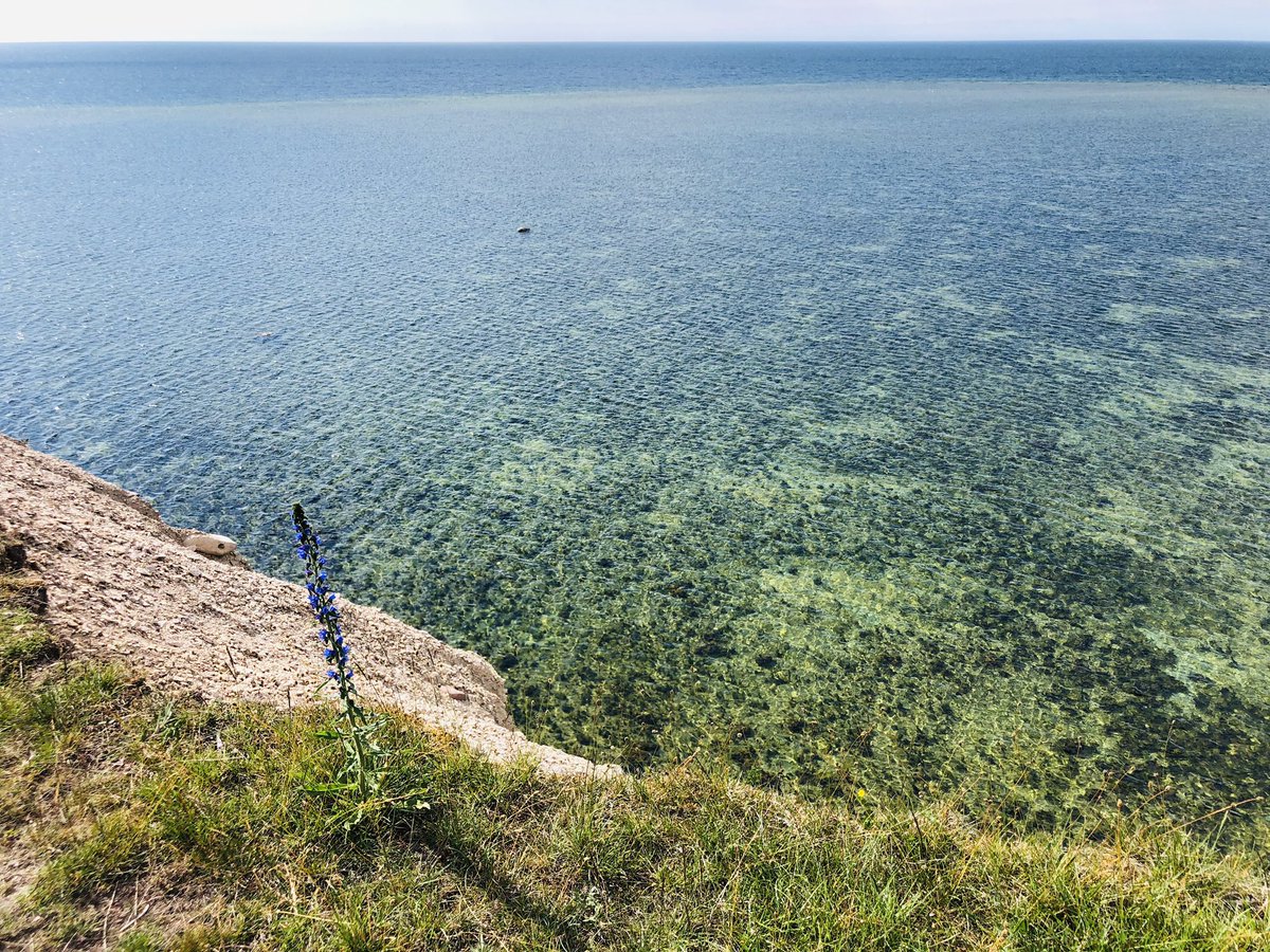mrgreenlizard's tweet photo. Pangas stāvkrasts Sāremā rietumu piekrastē. Skats gluži, kā Maltas zilajā lagūnā 😍🇪🇪🦎 #sarema #estonia #pangacliff #siluri https://t.co/XCjwtACwev